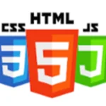 HTML CSS JS